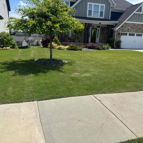 residential landscaping by Space City Lawn Care reviewed on November 23, 2025