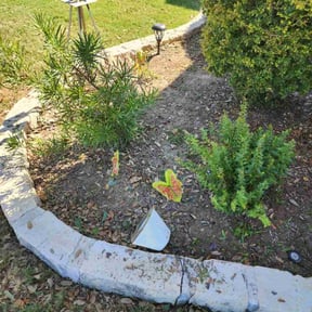 Flower Bed Weeding by Red State Landscape reviewed on October 19, 2025