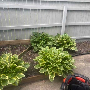 Flower Bed Weeding by The Other Side Lawn Care reviewed on April 17, 2026