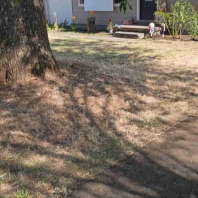 Leaf Removal by Grass Grabbers reviewed on September 18, 2025