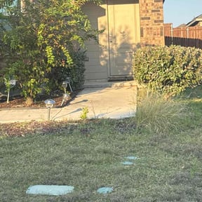 Bush Trimming by Cook&#039;s Lawn Service reviewed on October 21, 2025