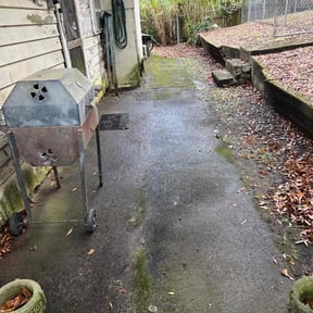 Leaf Removal by Grass Sharks Lawn Care reviewed on November 9, 2025