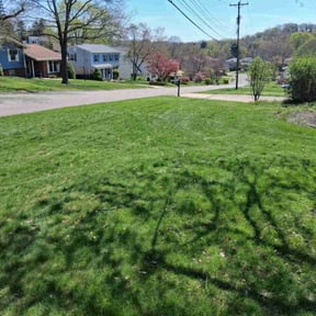 yard service by Burleys Lawn Care reviewed on August 19, 2025