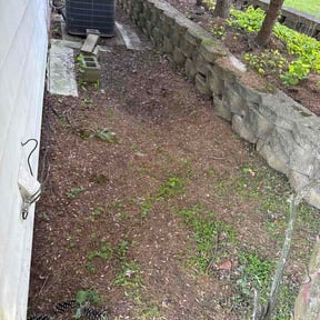 Leaf Removal by Nick’s Lawn care reviewed on September 2, 2026