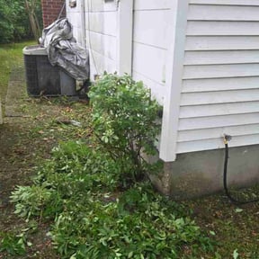 Bush Trimming by Jerry Rios Lawn Serviceu reviewed on August 18, 2025