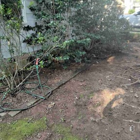 Leaf Removal by B&amp;F lawncare reviewed on September 24, 2025