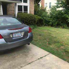 Bush Trimming by Huntech, LLC reviewed on November 22, 2025