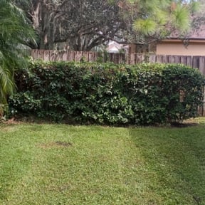 Bush Trimming by SRC Lawn Care reviewed on November 23, 2025