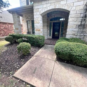 Bush Trimming by DeBerry Landscape LLC reviewed on October 24, 2025