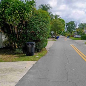 Bush Trimming by Birdsong Bee Company Lawn Service reviewed on December 25, 2023