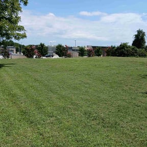 grass maintenance by Doublerlawncare reviewed on April 2, 2024