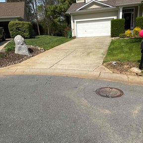 lawn service by San City Lawn Care reviewed on February 2, 2024