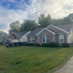 Bush Trimming by The Helping Pro reviewed on December 30, 2025