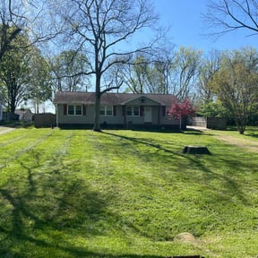 residential landscaping by Smooth cut reviewed on August 19, 2025