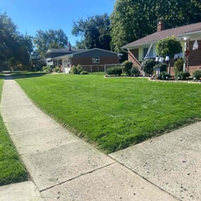 yard care by TNT landscaping & Lawncare llc reviewed on August 21, 2025