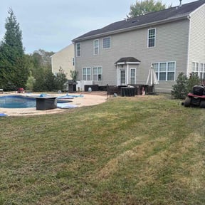 Flower Bed Weeding by Dragonfly Lawn Care reviewed on November 22, 2025