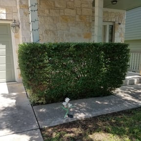 Bush Trimming by Lasko's Lawns reviewed on August 19, 2025