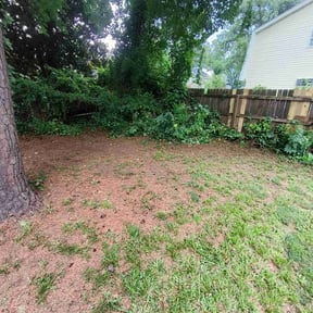 Bush Trimming by Griggs professional service reviewed on August 20, 2025