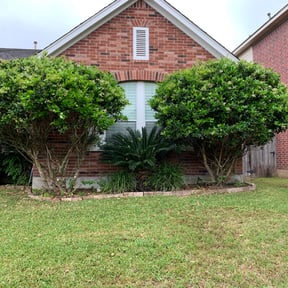 Bush Trimming by D&amp;D All In One reviewed on August 19, 2025