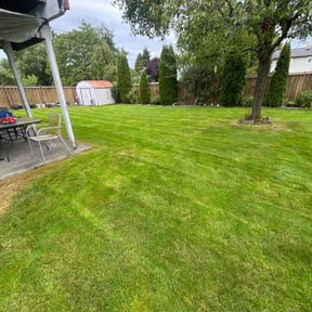 landscape maintenance by Big Boy Landscaping reviewed on August 21, 2025