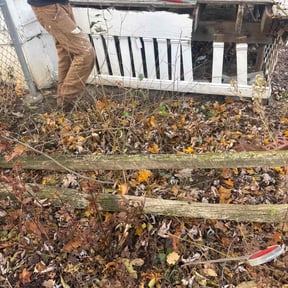 Bush Trimming by A&amp;W Quality Lawn Care reviewed on November 21, 2025