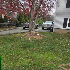 Leaf Removal by Wayne's landscaping reviewed on November 23, 2025