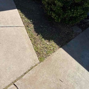 Flower Bed Weeding by CNR Landscaping reviewed on May 28, 2026