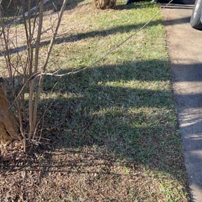 Leaf Removal by Jm  mowing Service&#039;s reviewed on September 15, 2025