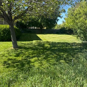 residential landscaping by Howell Lawn & Landscape reviewed on August 18, 2025