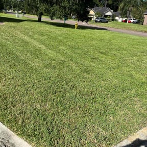 yard work by Aces cleaning reviewed on August 20, 2025