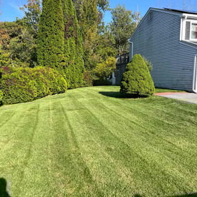 lawn service by Precise Lines Lawn Care reviewed on June 1, 2024