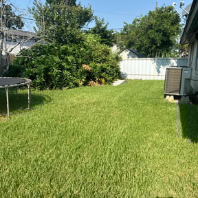 yard service by Gerald Helmke reviewed on August 20, 2025