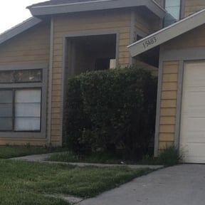 Bush Trimming by On Point Lawn Care reviewed on August 15, 2025