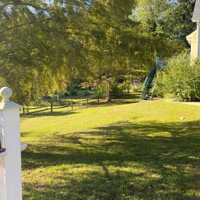 lawn maintenance by Terrell lawn care reviewed on August 6, 2024