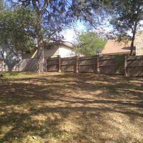 Leaf Removal by 100% Landcare reviewed on September 21, 2025