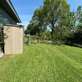 gardening service by Green Looks reviewed on August 21, 2025