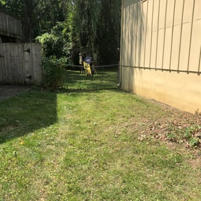Bush Trimming by Use more services reviewed on August 15, 2025