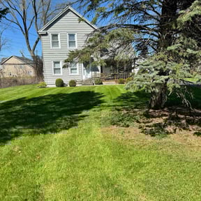 landscaping services by Shane Sullivan reviewed on August 19, 2025