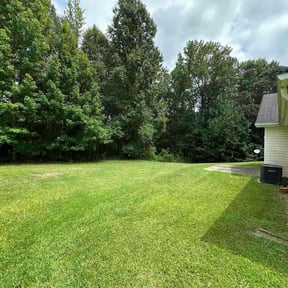 landscaping services by David’s Landscape reviewed on August 19, 2025