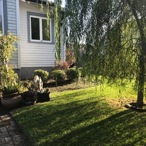 Bush Trimming by Smith's Services reviewed on August 20, 2025