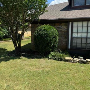 Bush Trimming by Grove Professional reviewed on August 20, 2025