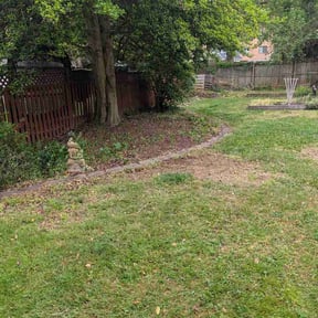 Leaf Removal by 2 Brothers Lawn Care reviewed on July 5, 2026