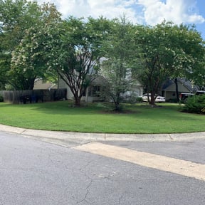 Bush Trimming by Torres Lawn Care reviewed on August 18, 2025