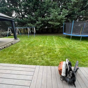 lawn care by Edgar reviewed on April 21, 2025