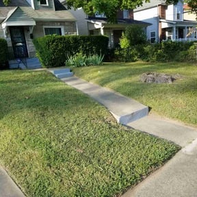 lawn care services by Jackson of All Trades reviewed on December 10, 2023