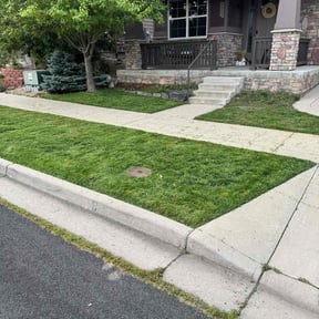 yard work by Mower man reviewed on August 17, 2025