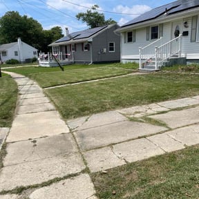 turf maintenance by LeVota's lawn care reviewed on November 2, 2023
