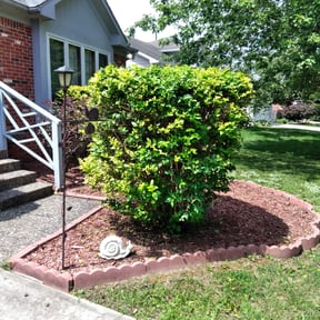 Bush Trimming by Ategramax reviewed on August 17, 2025