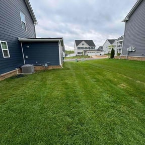 yard service by Counts lawn Care reviewed on August 17, 2025