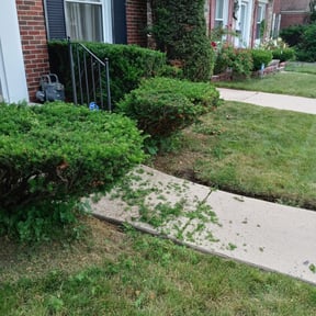 Bush Trimming by D and W Lawn Service reviewed on August 13, 2025